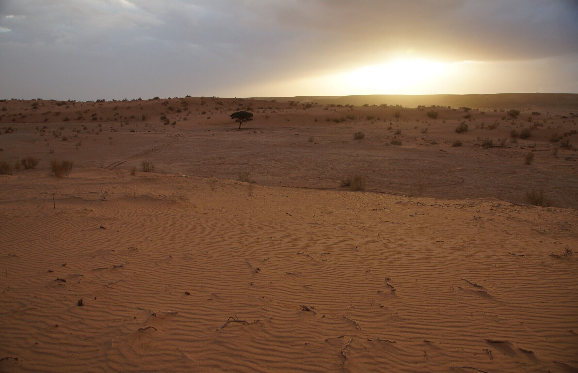 Not as populated as Wadi Rum and different, but beautiful.