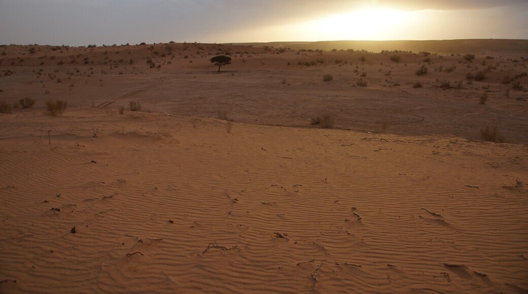 Not as populated as Wadi Rum and different, but beautiful.