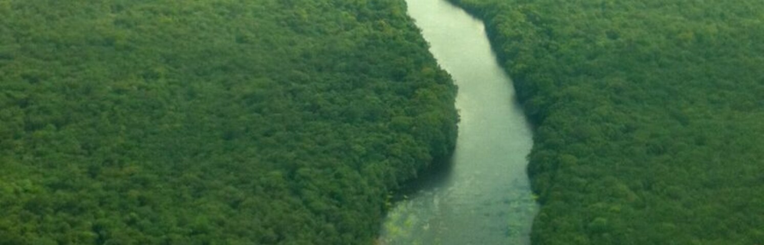 A birds eye view of Kaieteur.
At 741 ft (226m) high, it is four times the height of Niagara Falls and twice as high as Victoria Falls.
#perspective