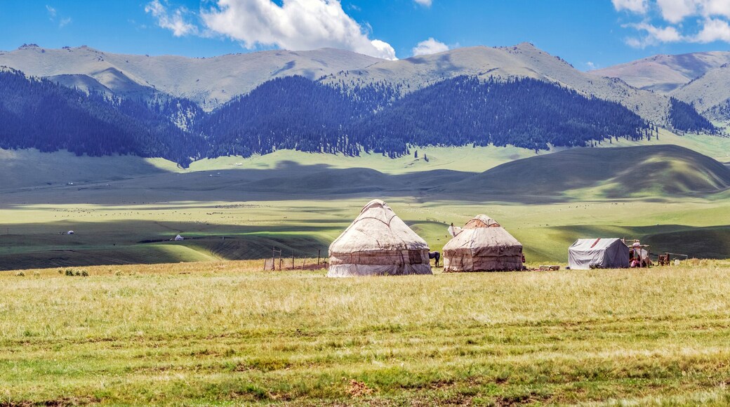 Yurts on the mountain plateau of Assy. Almaty region, Kazakhstan.