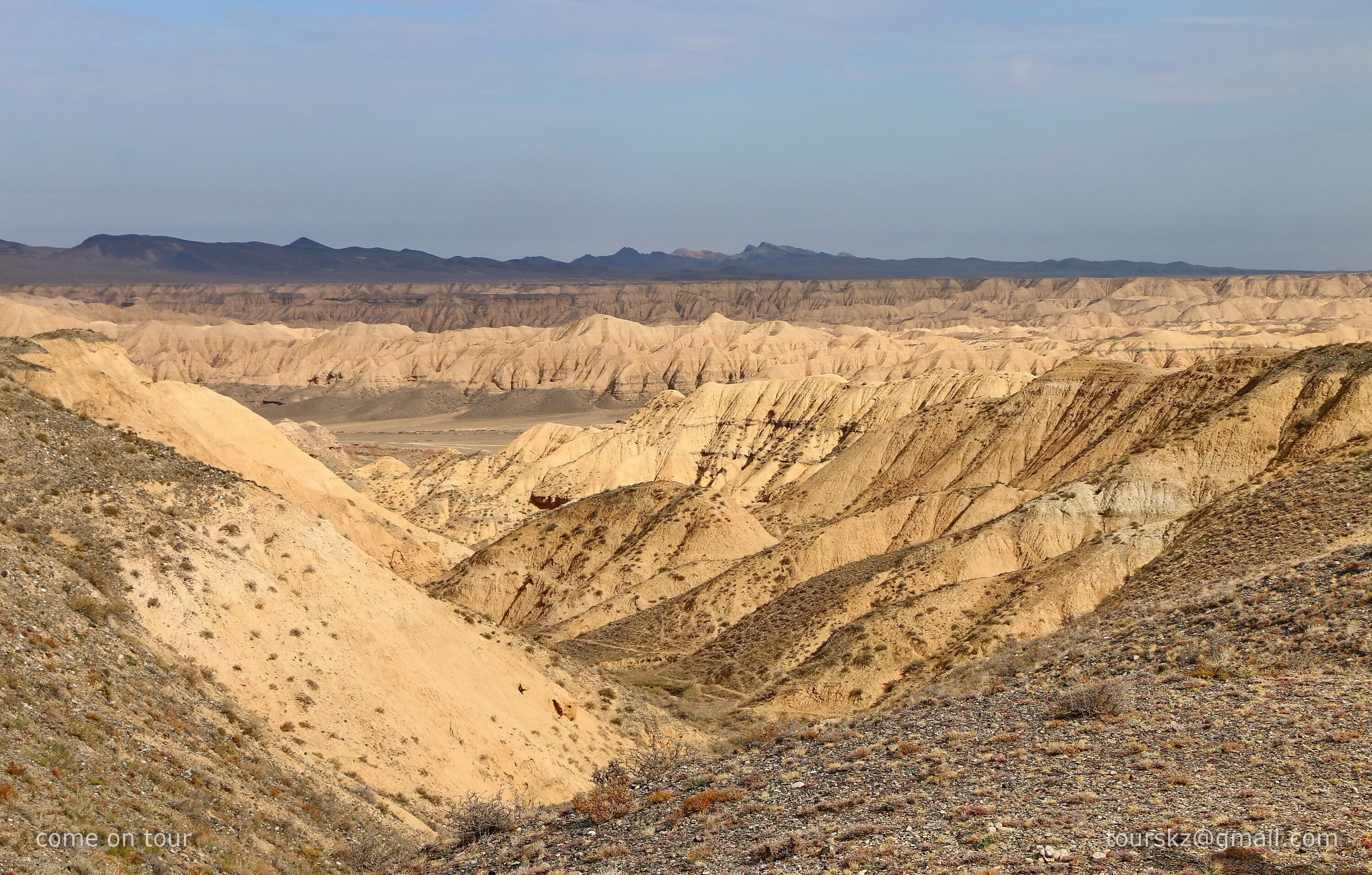 Charyn Park. Kazakhstan.