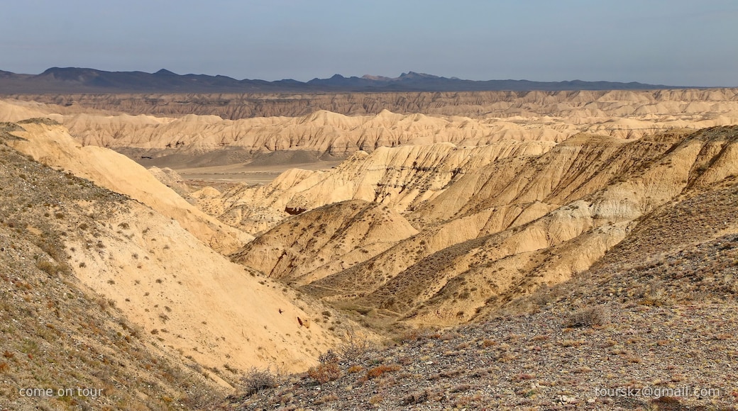 Charyn Park. Kazakhstan.