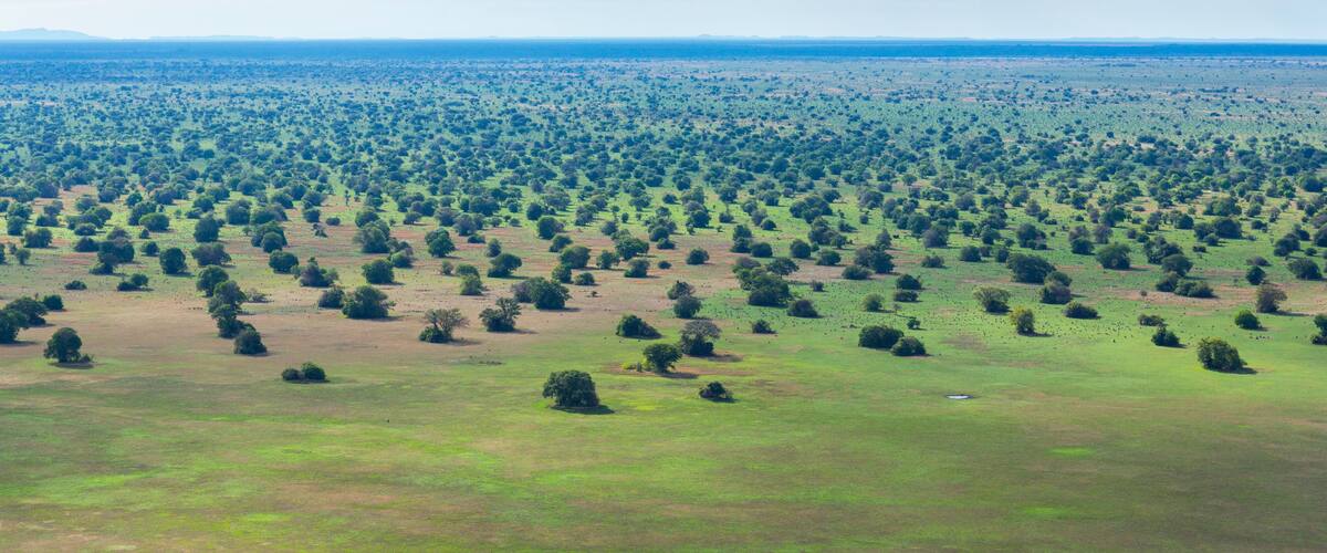 Kasanka National Park, Serenje, Provincia central, Zambia, Africa