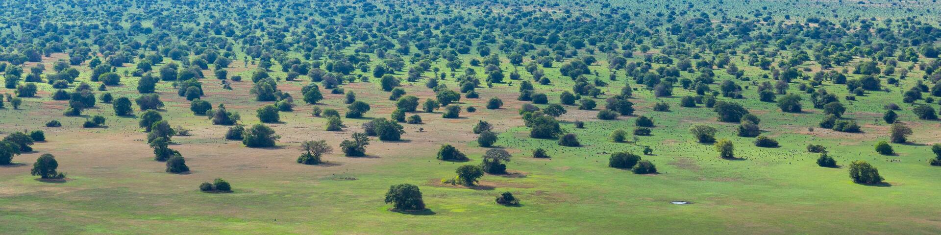 Kasanka National Park, Serenje, Provincia central, Zambia, Africa