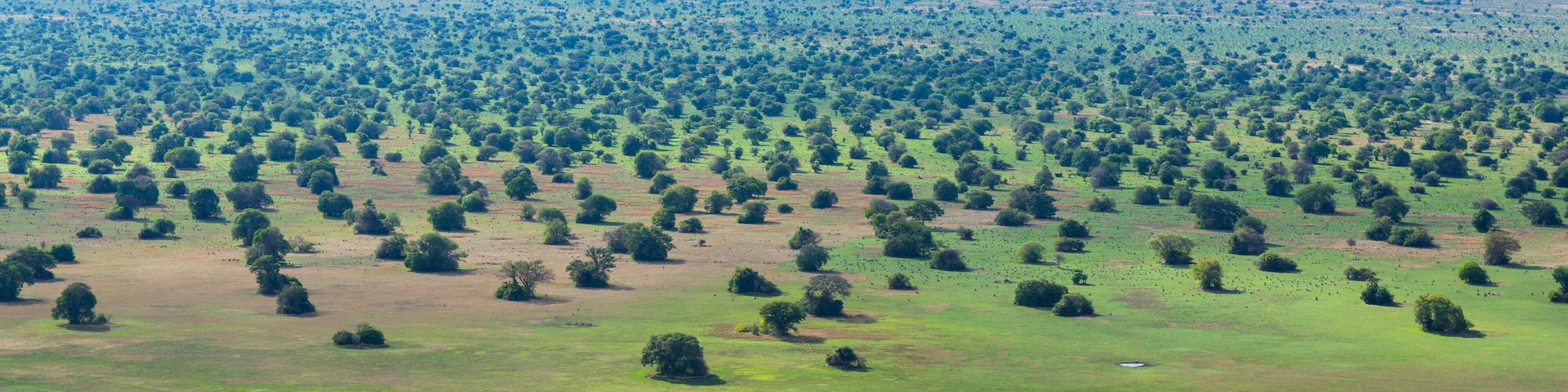 Kasanka National Park, Serenje, Provincia central, Zambia, Africa