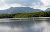 Nariva Swamp in Trinidad. Caribbean's largest and most bio-diverse freshwater wetland. An incredible place.