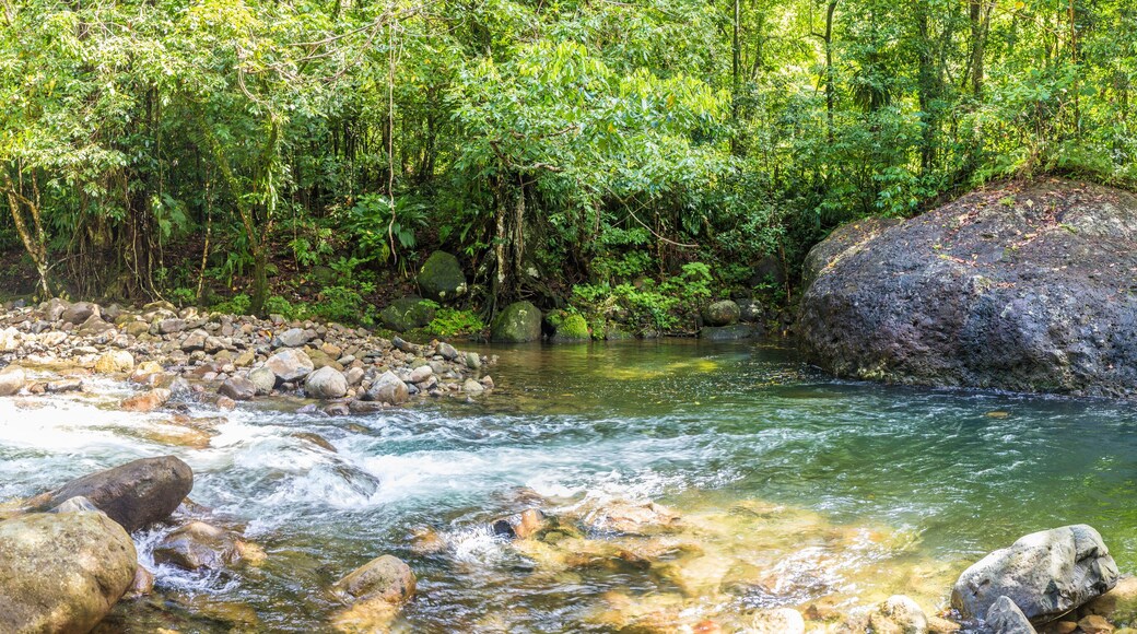 Giáo xứ Saint David