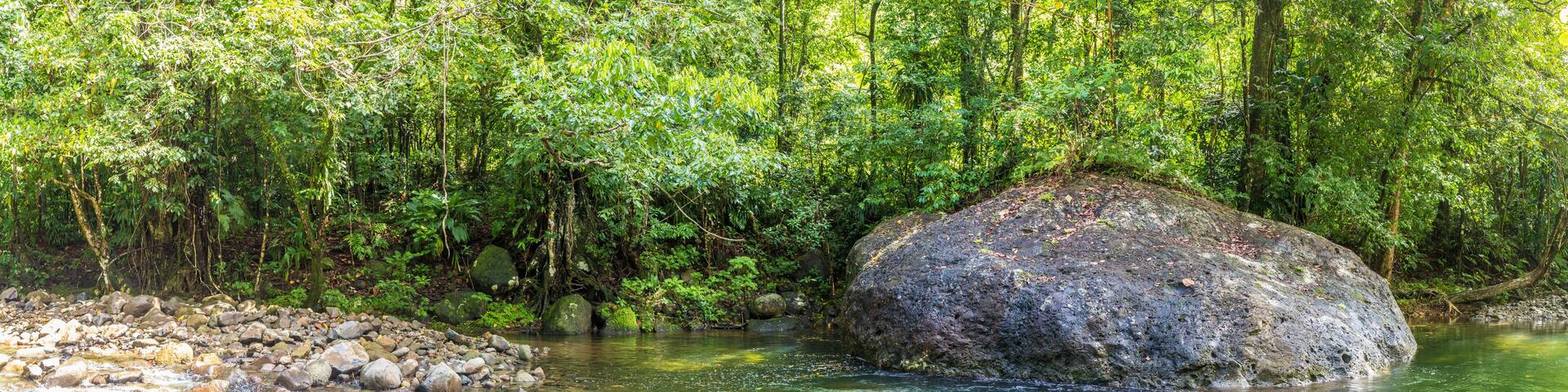 A clear stream with rocks and a large boulder in the middle, surrounded by dense green foliage.
