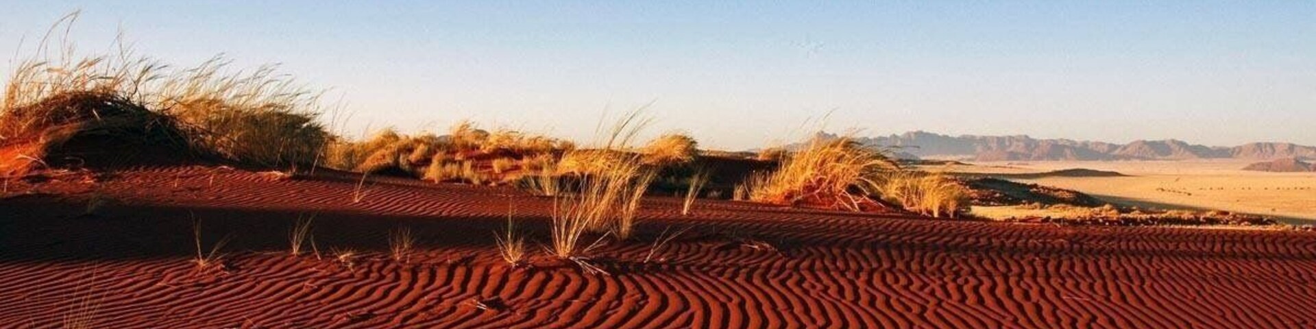 This red sand in Wolwedans looks like comb.