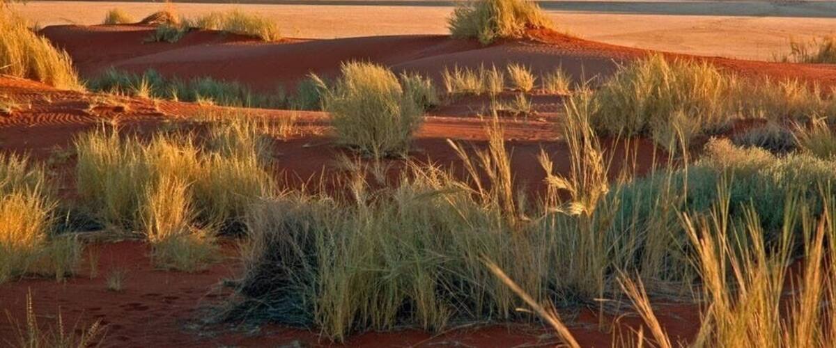 Wolwedans dunes and mountains at sunset