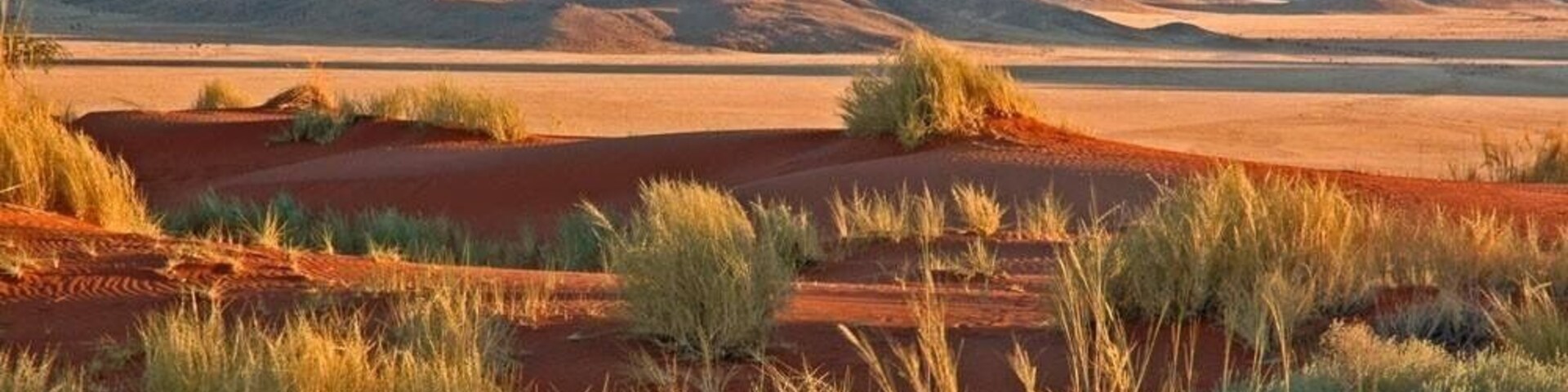 Wolwedans dunes and mountains at sunset