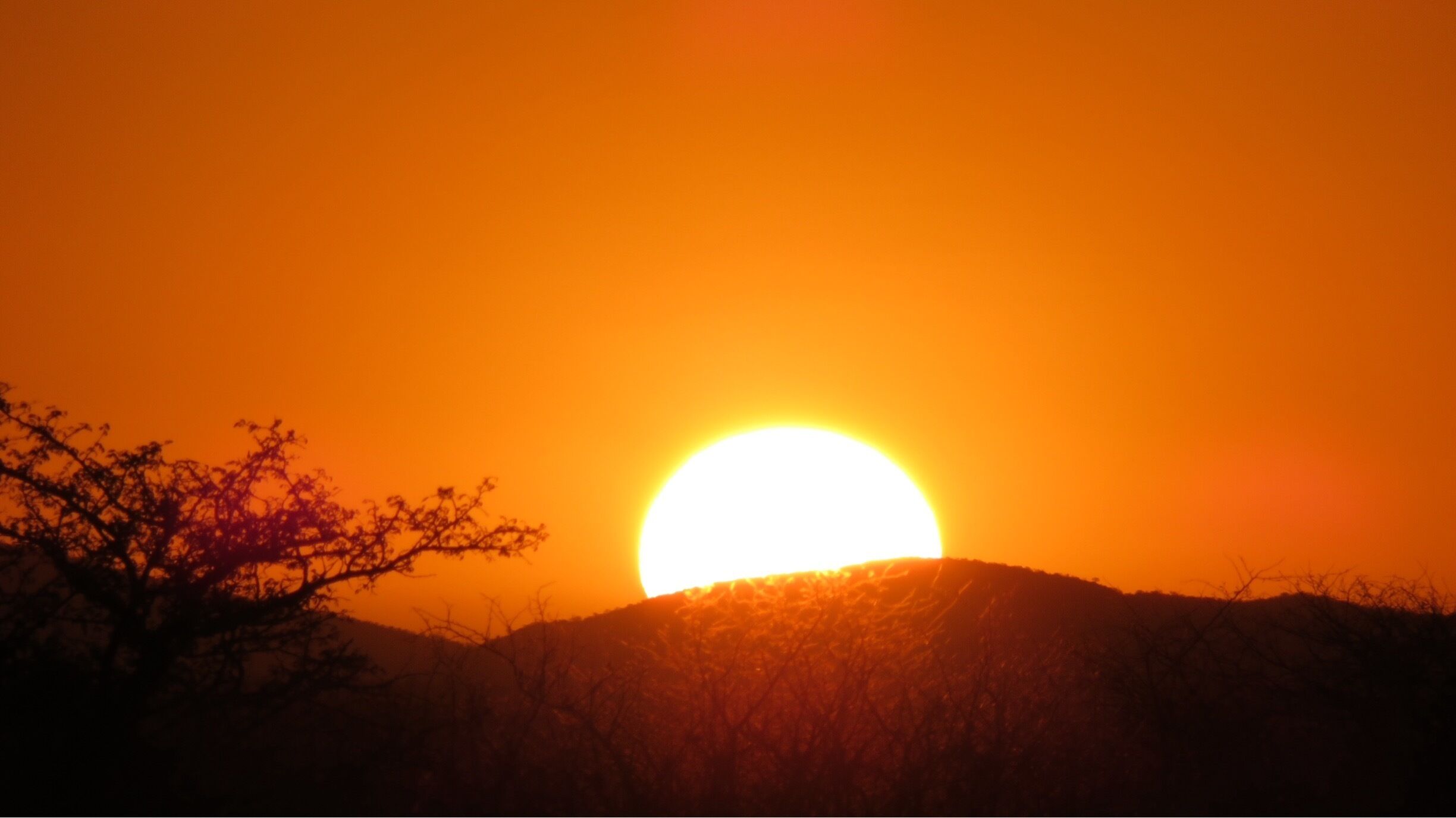 Stunning african sunset