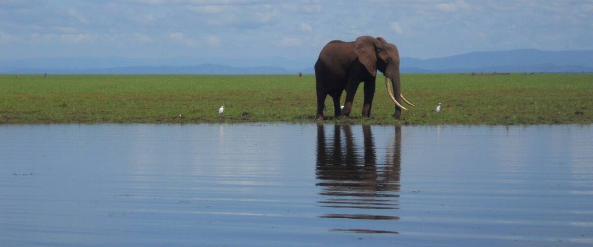 We spent a few days on a house boat on Lake Kariba. The wildlife we saw was amazing! Loads of elephants along the shore a and lots of hippos! Some hippos rocked our tender boat which was a bit scary haha but we made it out of that spot quickly!!