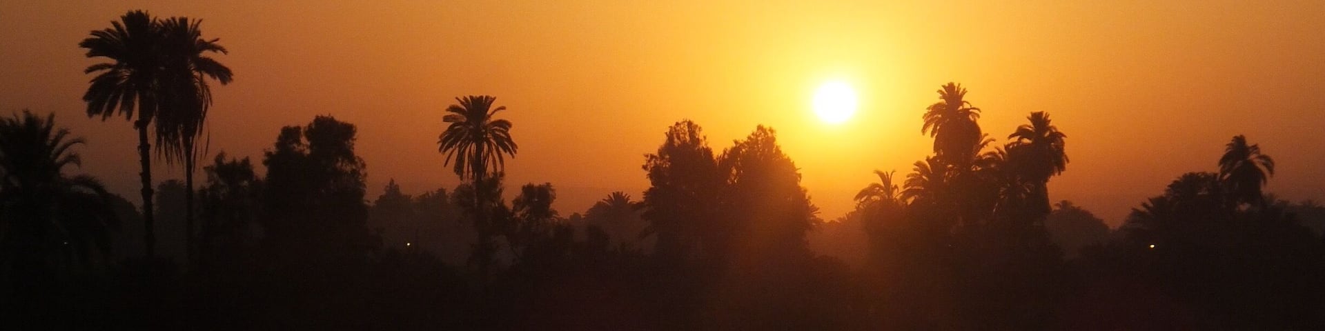 Sunset on the Nile . Take a Nile cruise for the trip of a lifetime. Luxor to Aswan. Absolutely fantastic all trips included with a guide
