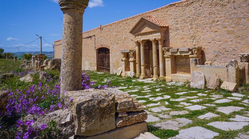 Provincia de Souk Ahras