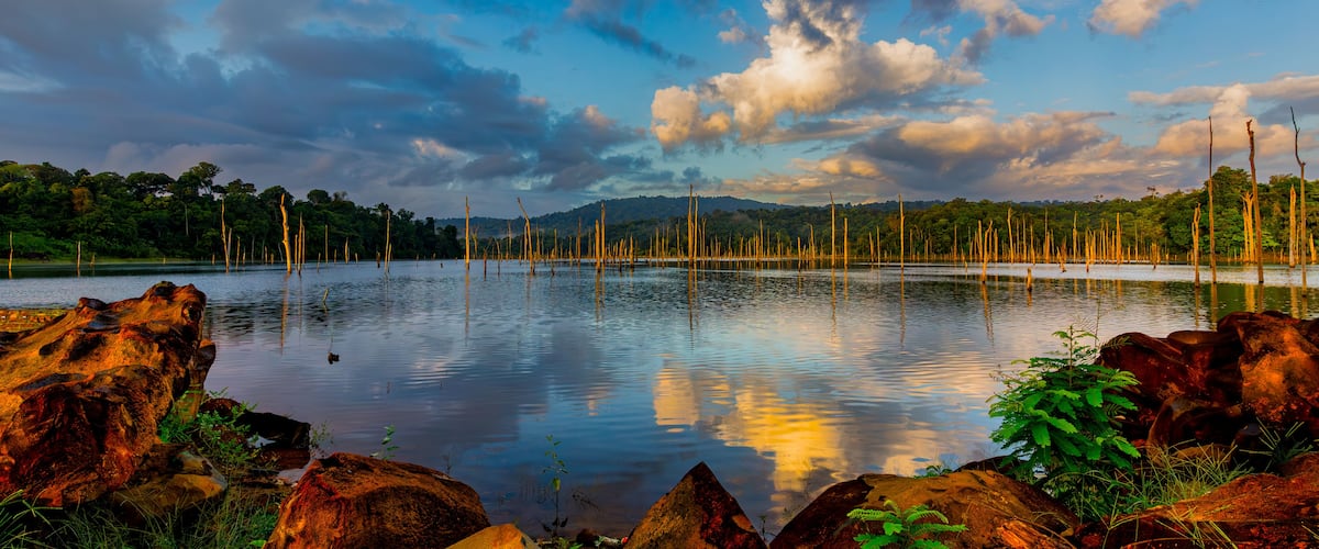 A calm lake with tall, dead trees in the water, surrounded by rocks and greenery.