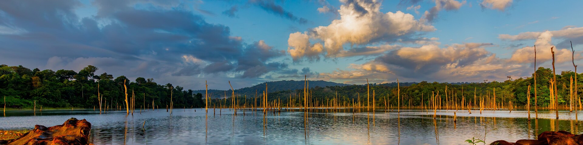 Un lago tranquilo con árboles altos y secos en el agua, rodeado de rocas y vegetación.