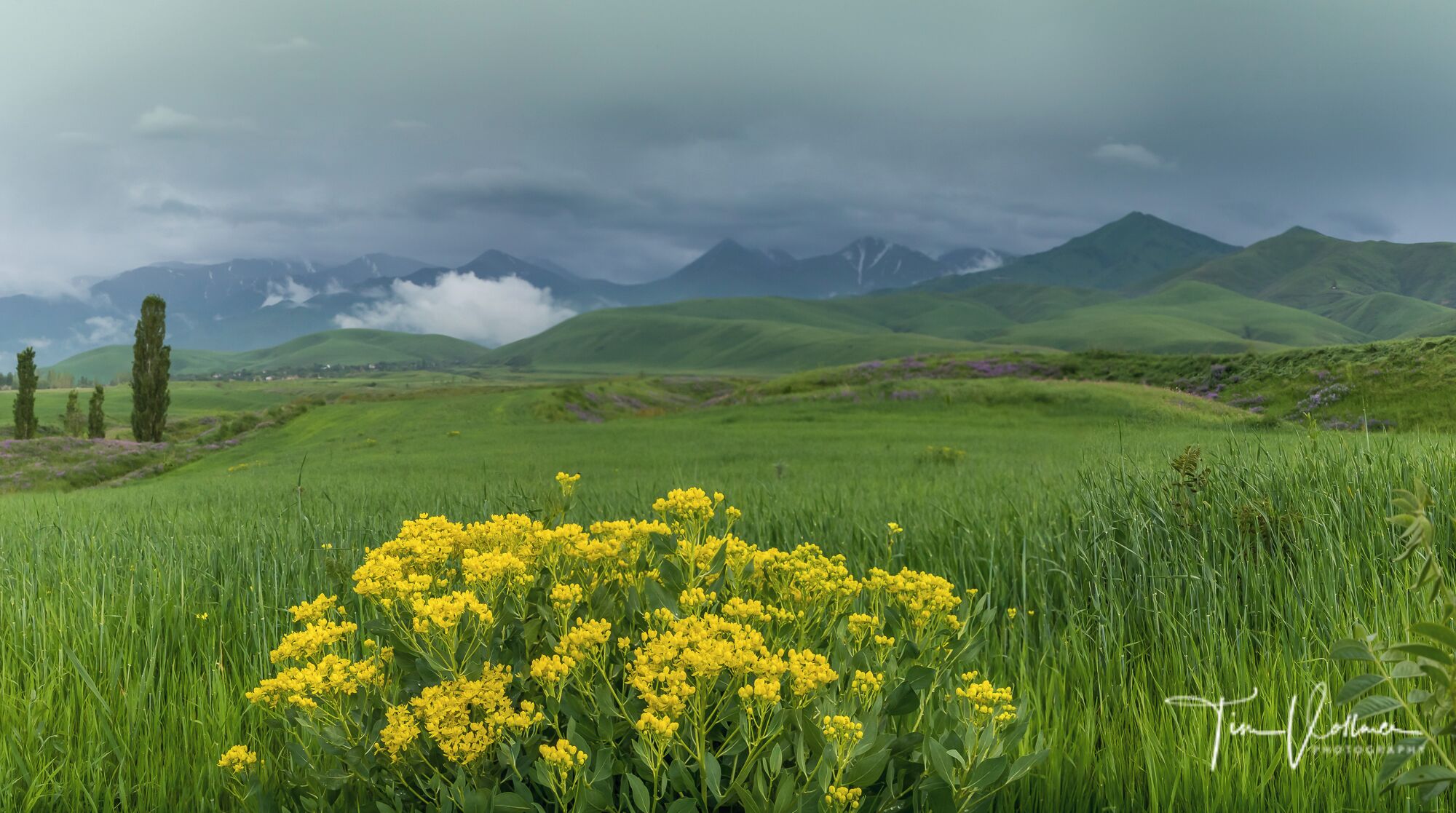 Just amazing Landscape in Kyrgyzstan.. Join my next photo tour in June 2020