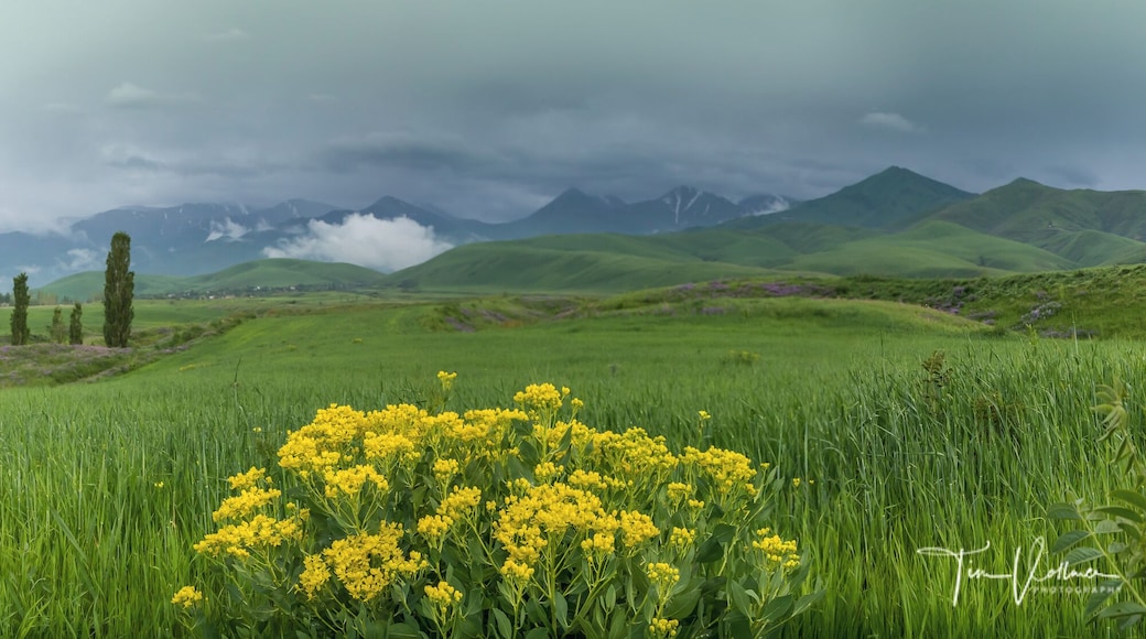 Just amazing Landscape in Kyrgyzstan.. Join my next photo tour in June 2020