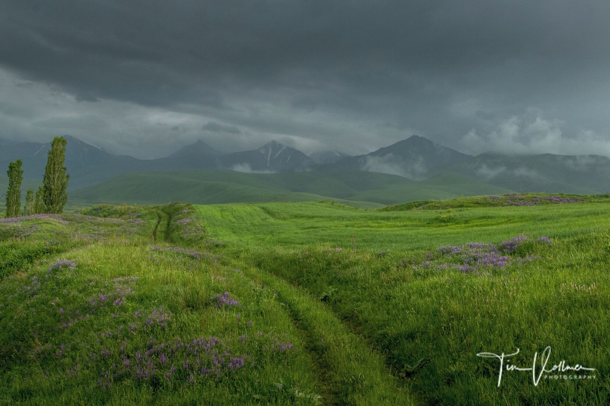 Just amazing Landscape in Kyrgyzstan.. Join my next photo tour in June 2020