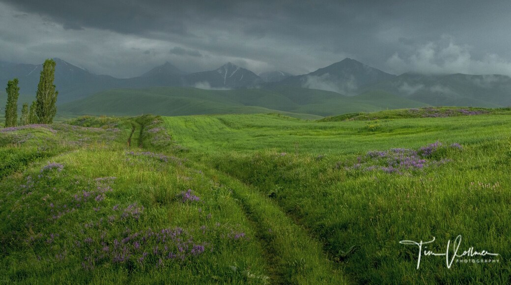 Just amazing Landscape in Kyrgyzstan.. Join my next photo tour in June 2020