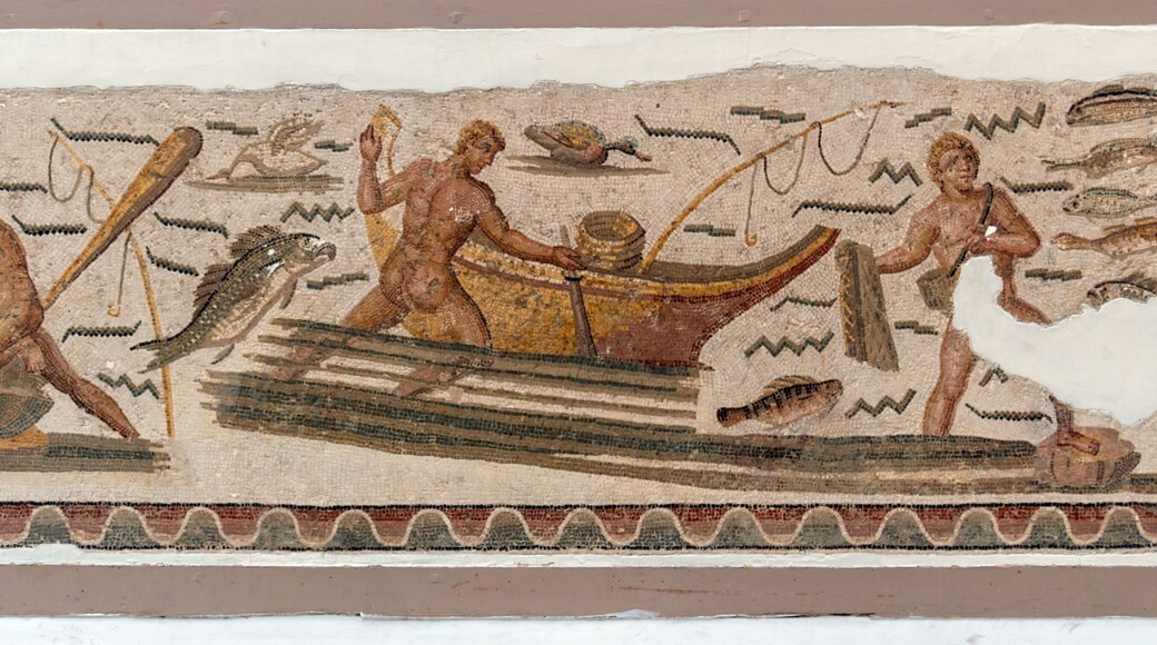 Mosaic Patterns and the Ancient Mosaics of Tunisia