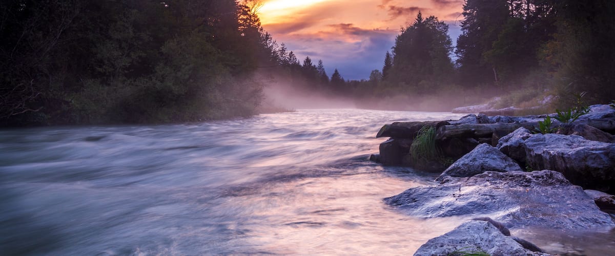 A river flowing through a forest with rocks and trees.