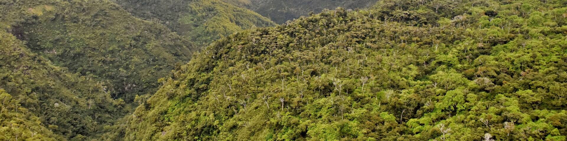 #lksawaydays in Mauritius visited this National park found on the South West part of this beautiful island. There a many trails and picnic areas to explore this lush green rainforest. Loads of wildlife to see from fruit bats to lots of exotic birds