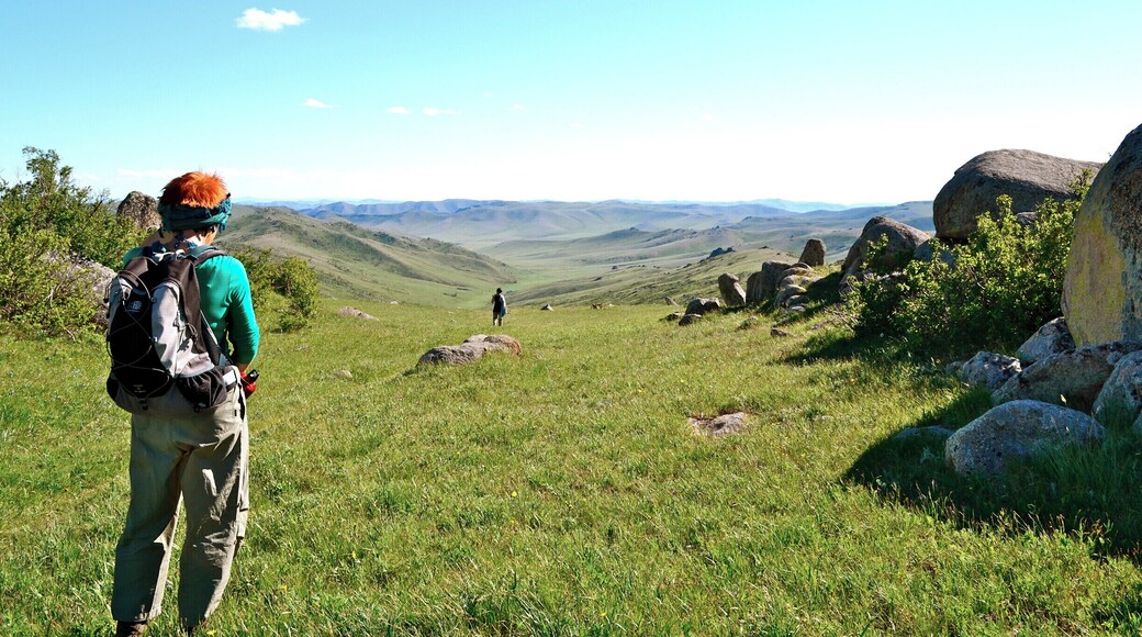 I don't know about any 'cool details' or anything, but Mongolia is absolutely gorgeous. And we saw Mongolian wild horses (Przewalski's horses) in this park!