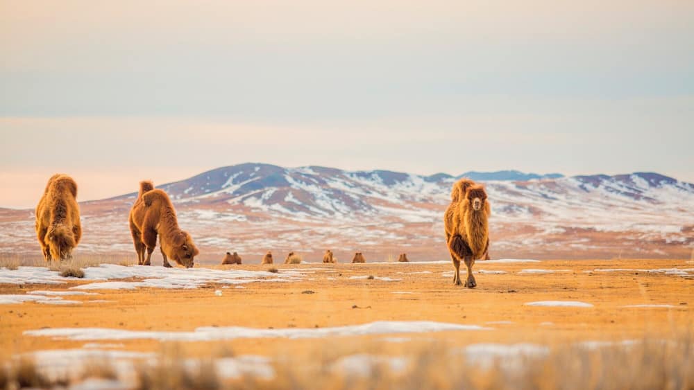 Жирмийн цагаан нуур
