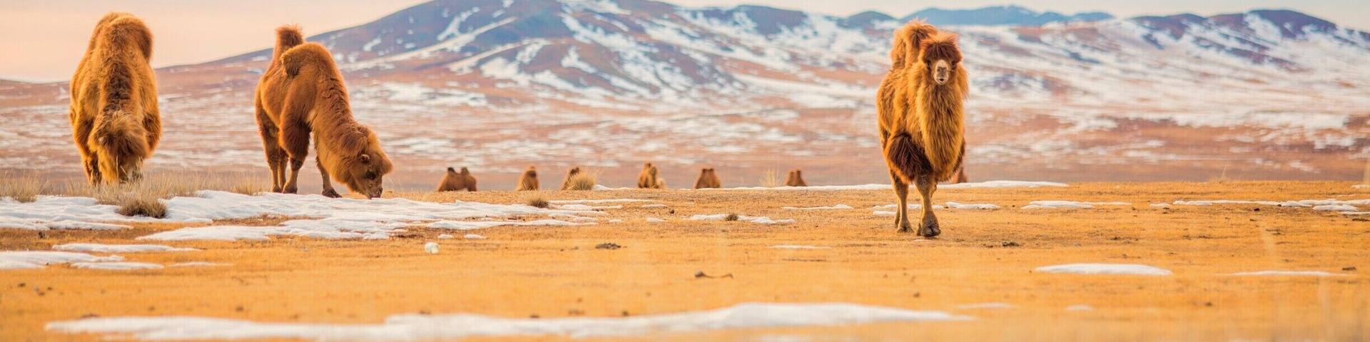 Жирмийн цагаан нуур