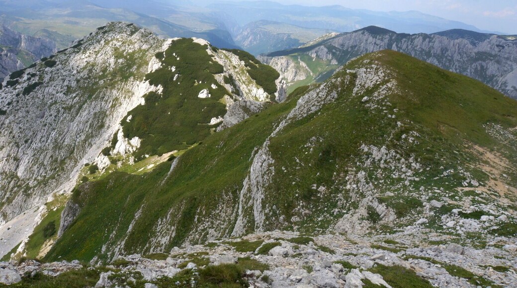 Panorama from the summit of Prutas is amazing! From here it is most beautiful view of Skrka Valley and highest peak of Durmitor, Bobotov Kuk, which rules on the other side of the valley, on the NE. Also very close is colorful Stit with its amazing twisted layers of limestone cliffs, on the E. On the N is Susica canyon and Ljubisnja mountain farther away. On the S are vast grassy plateaus and basins of Durmitor closed by elegant Sedlena Greda and picturesque ridges of Boljska Greda and Lojanik. Further away is Vojnik mountain and on clear days views spreads far south, ell the way to Orjen massif and the Adriatic coast. On the W are even larges grassy plateaus of Pivska Planina. Behind it is beautiful group of mountains led by Bioc and Maglic, highest peak of Bosnia & Herzegovina.