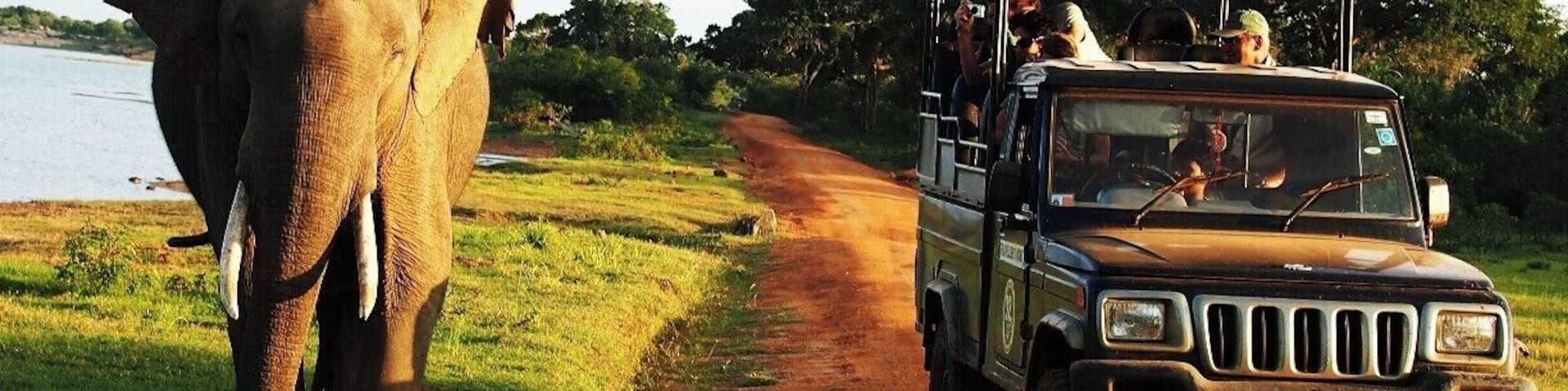 Un elefante caminando al lado de un camino de tierra con un vehículo.