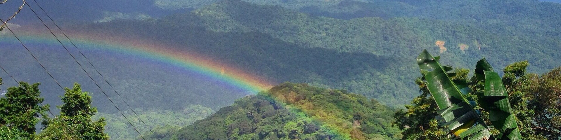 Photo from the upper section of the Blanchisseuse Road which cuts through the amazingly intact tropical rainforest of Trinidad's Northern Range mountains. Photo taken during my December 2014 #eagleeyetours #birding tour.