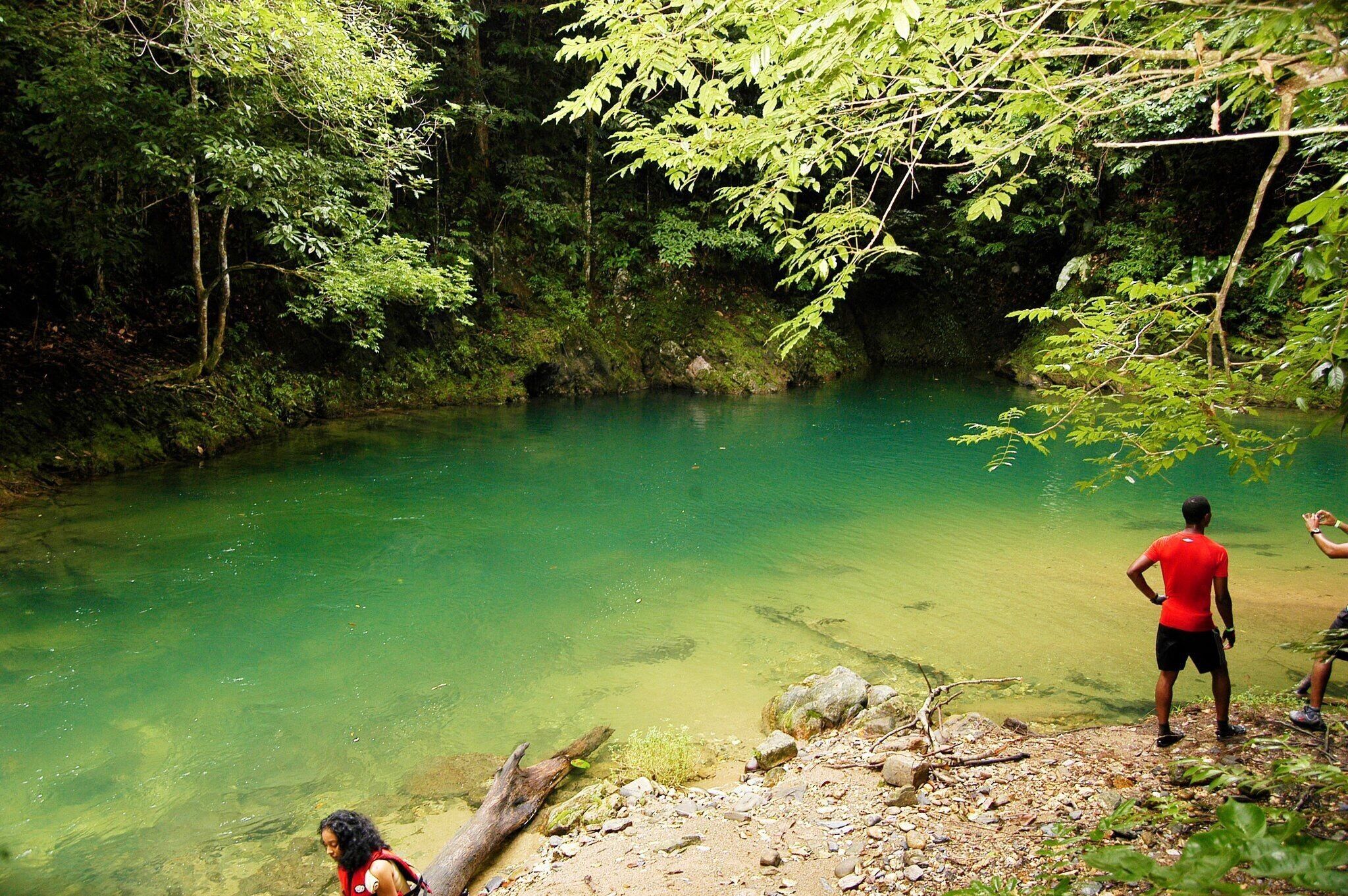 A clear green river surrounded by dense forest.