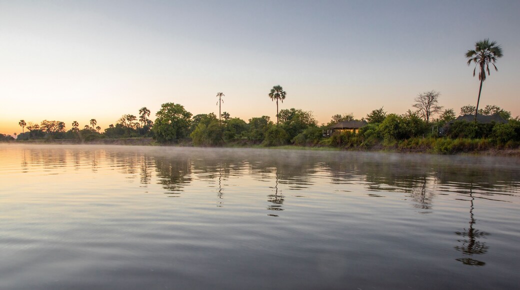 View of serene Zambezi river at sunset with lush vegetation and calm water, Victoria Falls, Zimbabwe.