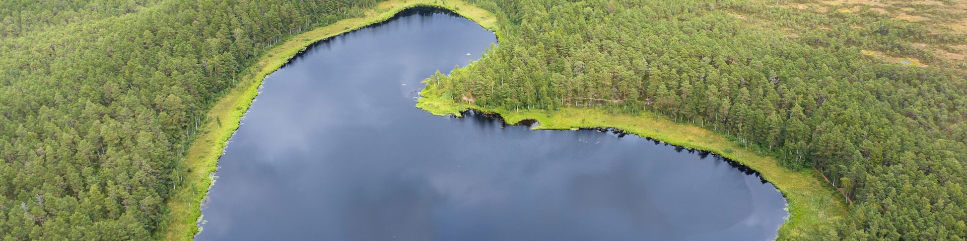 the heart-shaped forest lake surrounded by trees and an emerald line of mosses on the coastline
