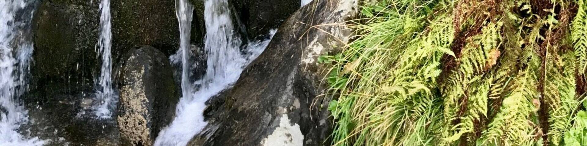 On the way back, I followed an unmarked track... Some difficulties but quiet, wild and beautiful.