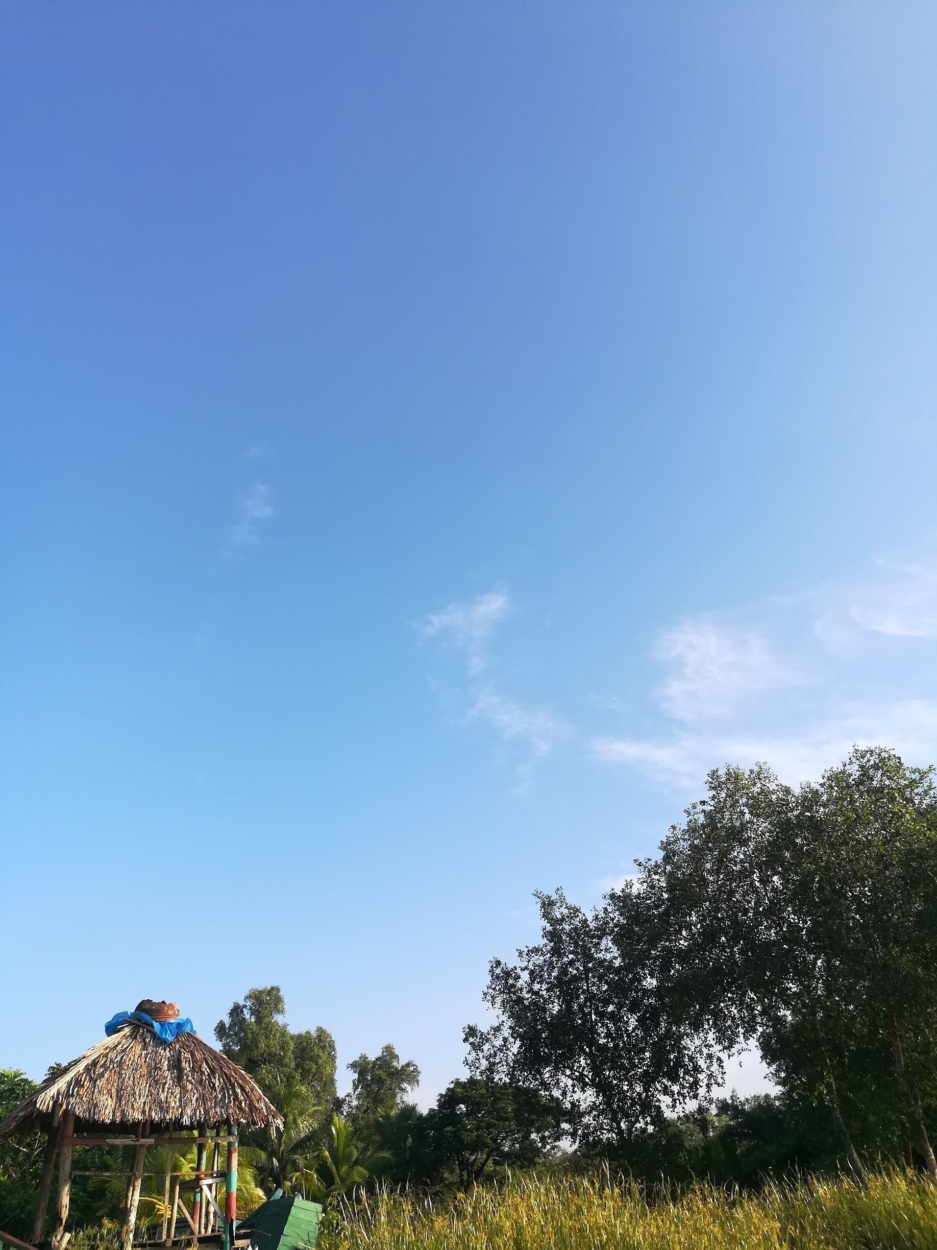 Lone hut under autumn sky.