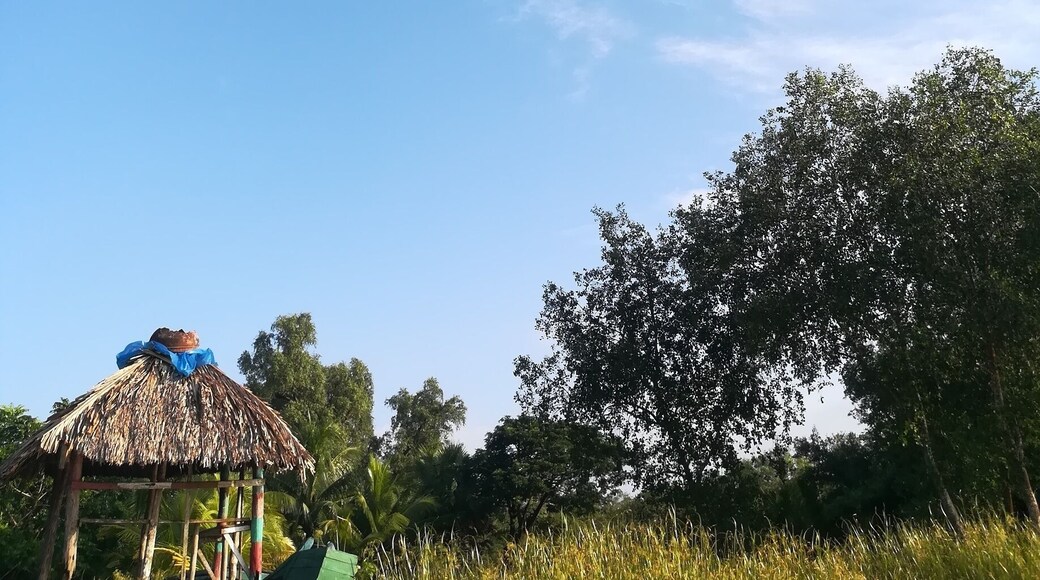 Lone hut under autumn sky.