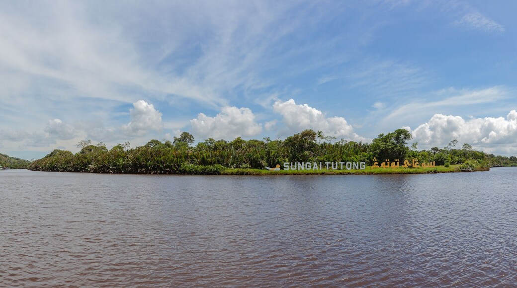 Panorama of Sungai Tutong