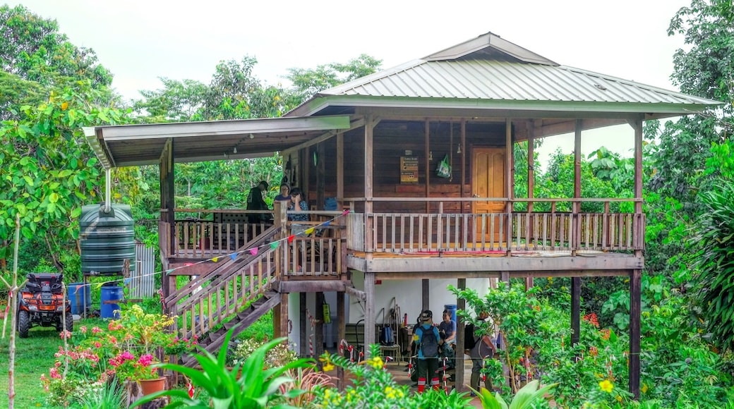 Guest House at Nature Trail Hike at Warisan Tuk Balaban in Tutong. #brunei #nature