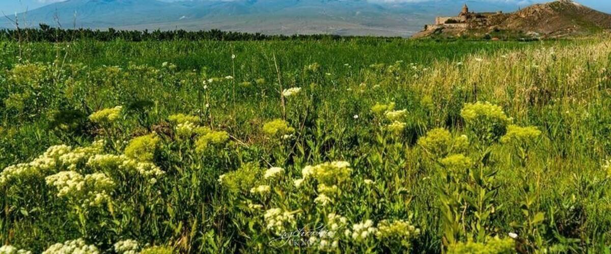 Khor Virap Monastery II Armenian
The Khor Virap is an Armenian monastery located in the Ararat plain in Armenia, near the closed border with Turkey, about 8 kilometres south of Artashat, Ararat Province, within the territory of ancient Artaxata.