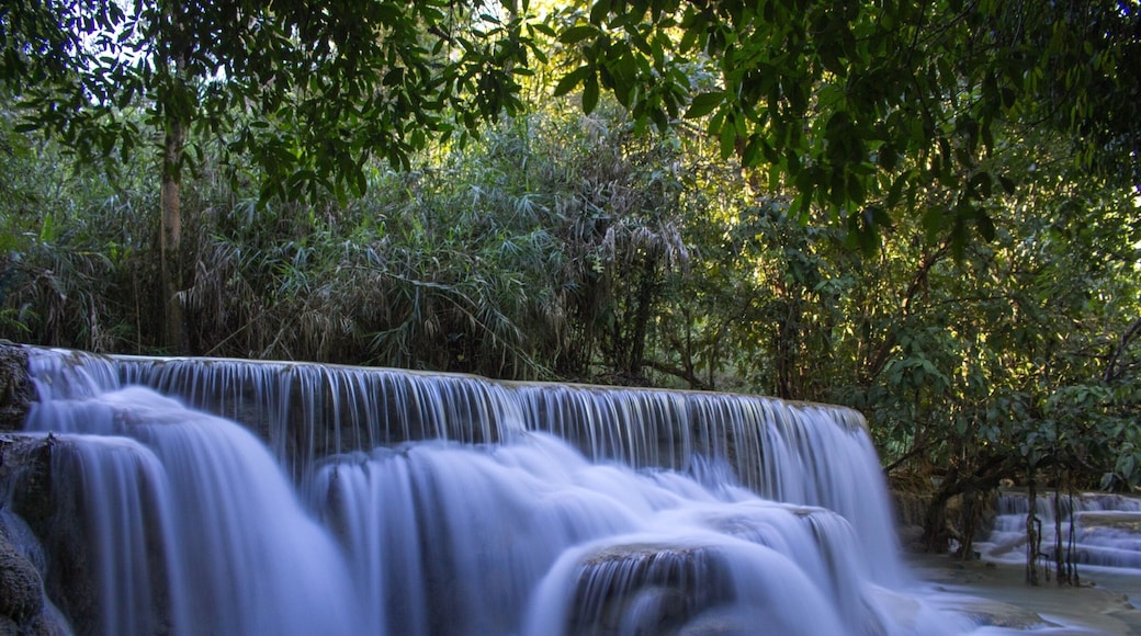 Kuang Si Falls in Luang Prabang.