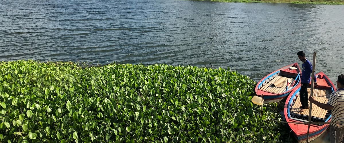 A calm lake with boats and lush greenery.