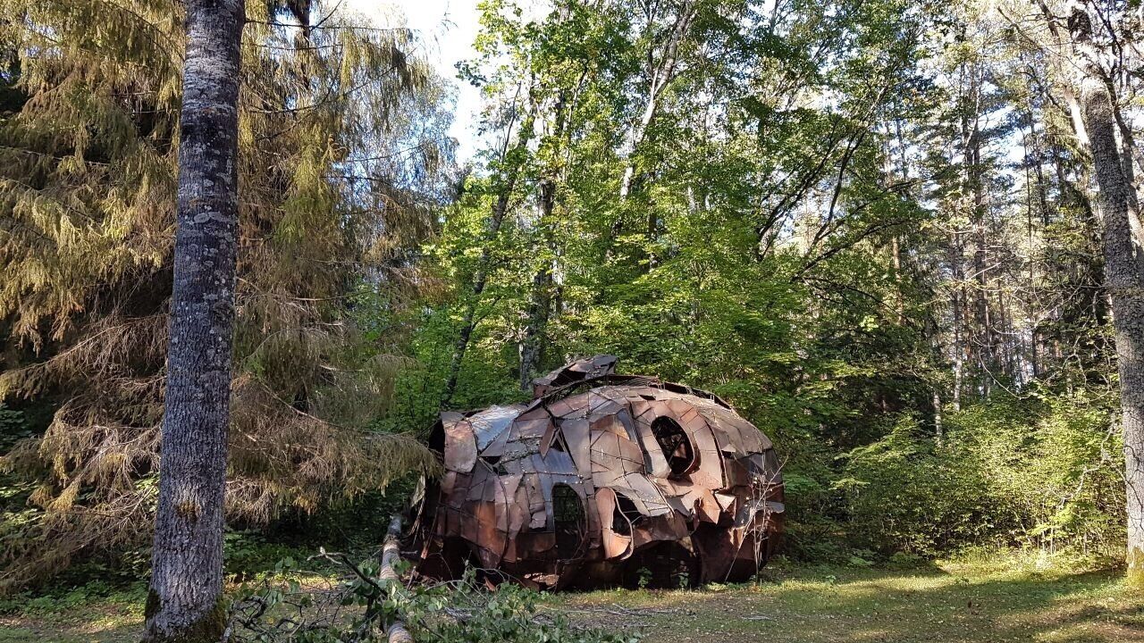 En rostig, kupolformad konstruktion i en skog.