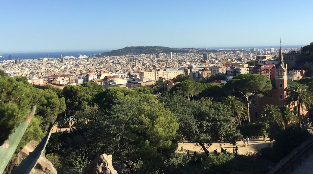 Amazing views and a great hike.