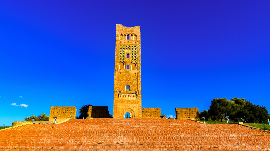 Ruins of El Mansourah in Tlemcen, Algeri
