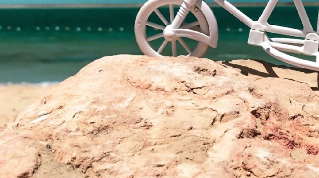 Find me in the dust. #bahraintimes