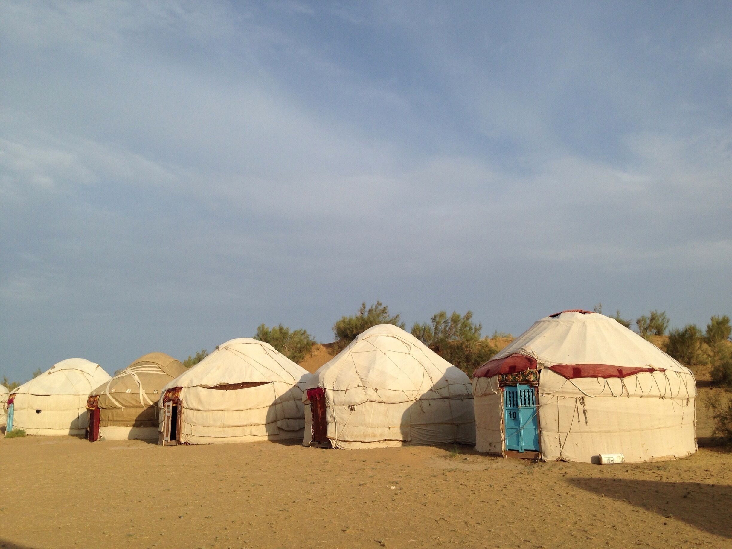 I know Mongolian gers quite well now. These yurts in the desert to the north of Uzbekistan are similarly constructed from layers of felt around poles. The inside is decorated very sparsely with thin mattresses on the carpet. 